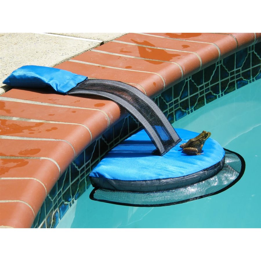 Frog Log Critter Escape Ramp